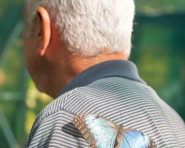 Lodge Paraiso Volcano *