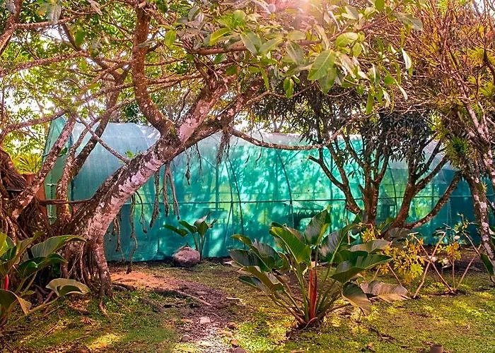 Paraiso Volcano * Guayabo (Guanacaste)