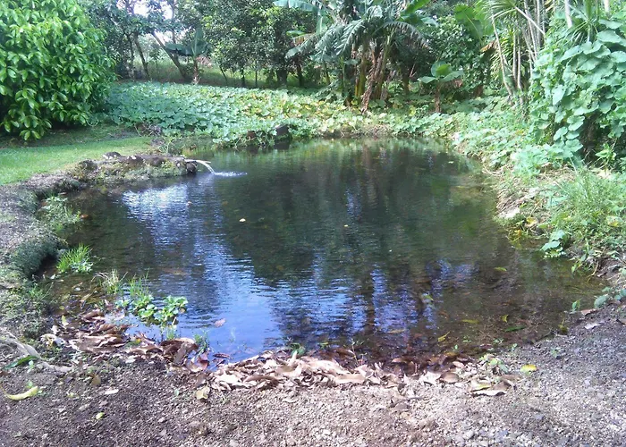 Paraiso Volcano Lodge *