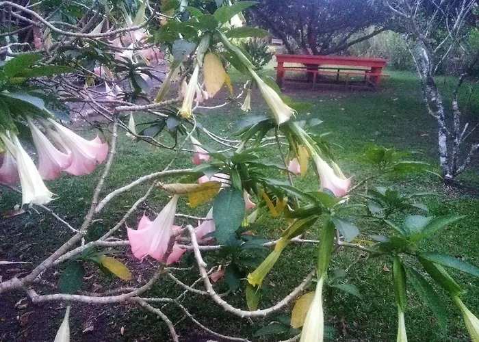Paraiso Volcano *